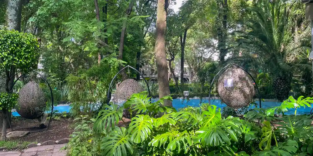 A reflective corner of Parque México