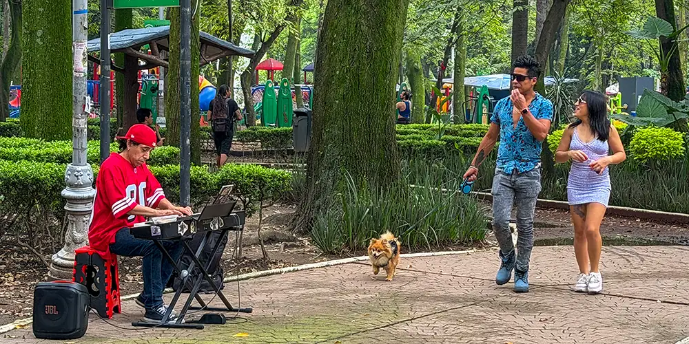 People walking a dog past a street musucian in Parque Mexico in Condensa