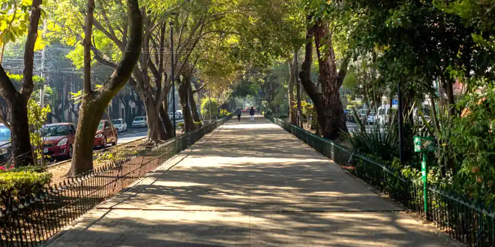 A boulevard in Condesa