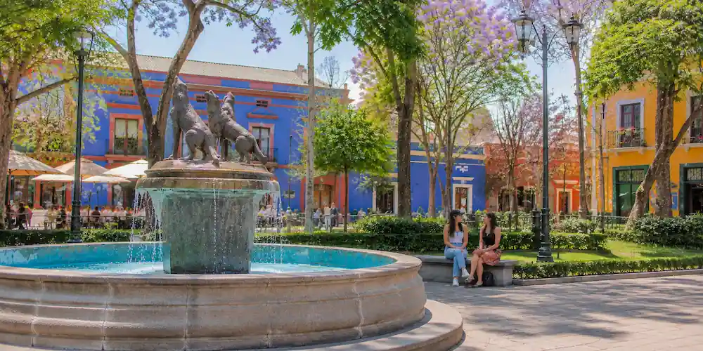 Graphic of Coyoacán, Frida Kahlo's neighborhood