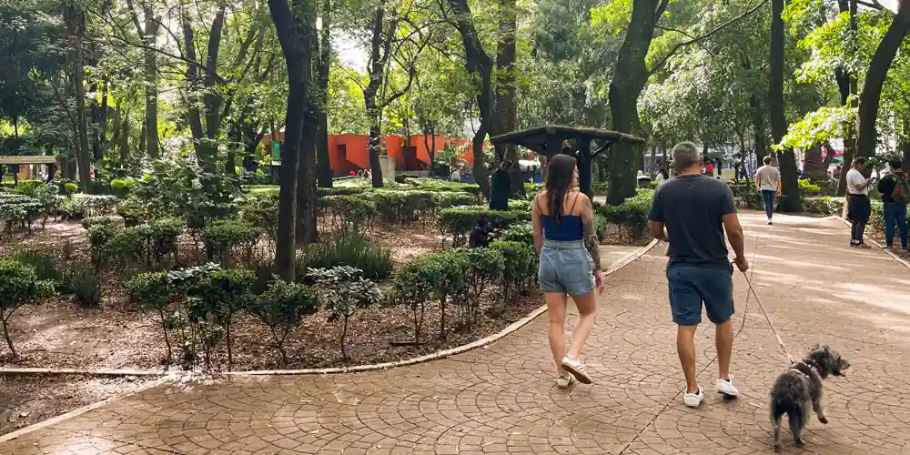 Walking through a park in Condesa