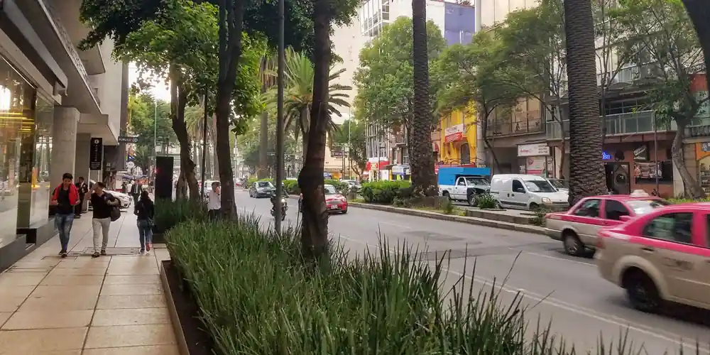 A commerical street in the Polanco neighborhood of Mexico City